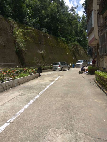 金豪花园,泥岗东路1104号-深圳金豪花园二手房,租房,房价-深圳安居客