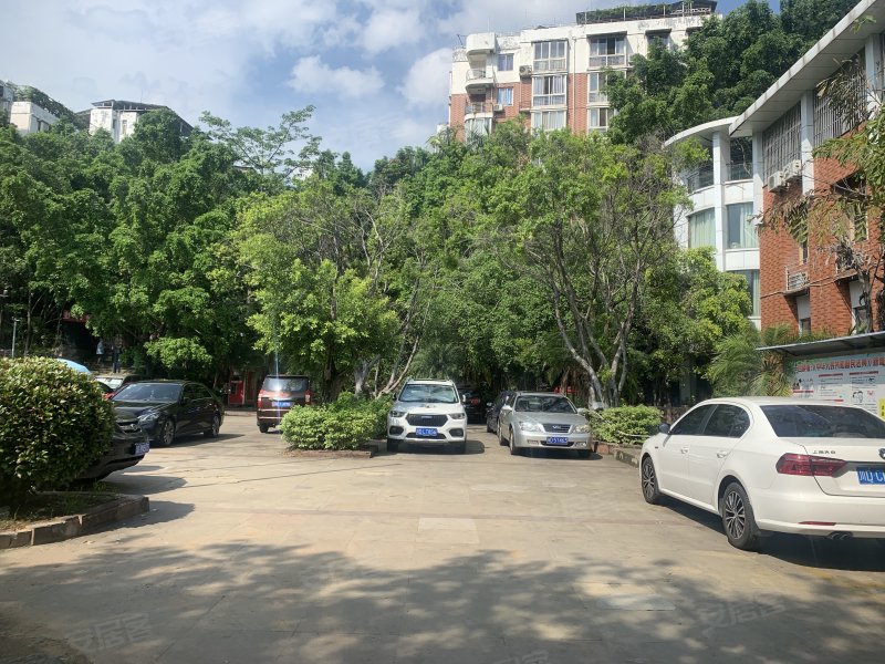 南山花园,南岭路151号-攀枝花南山花园二手房,租房,房价-攀枝花安居客