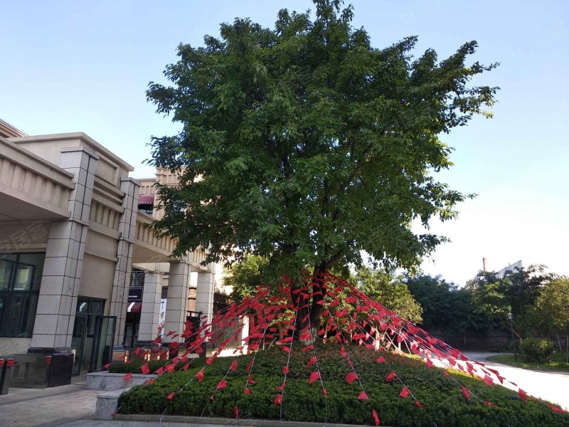 金科泽科美丽郡