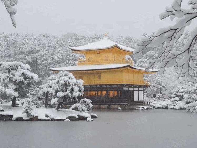 日本京都府京都市约¥325万京都美庐一户建倾情奉送，送全套软装家私家电，3 %回租！新房独栋别墅图片