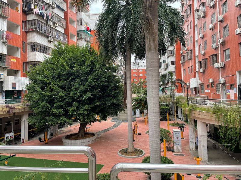 芙蓉苑,嘉园路41,207-273,277-317号-厦门芙蓉苑二手房,租房,房价