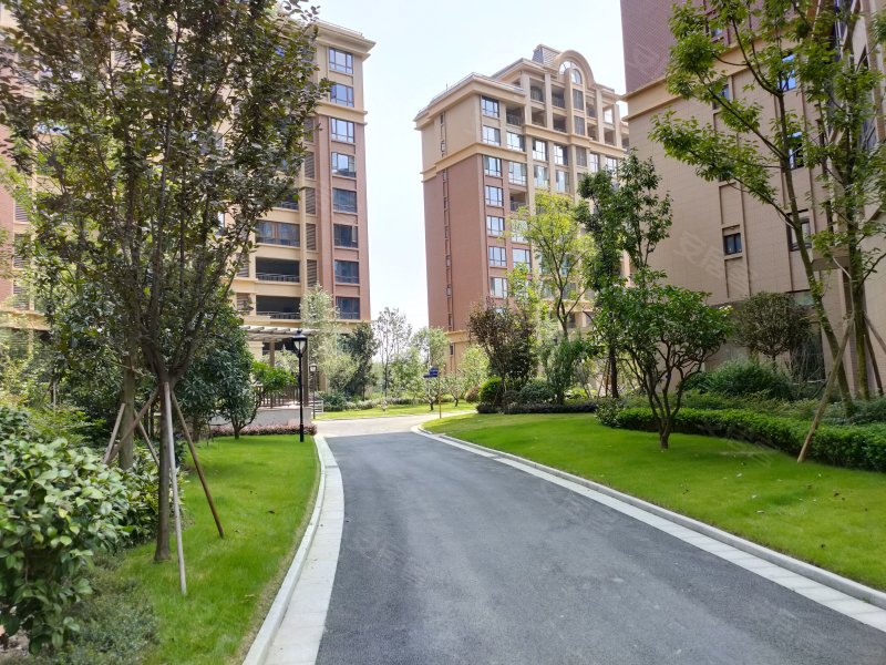鹭湖宫8区d区,江宁南路88号-成都鹭湖宫8区d区二手房,租房,房价-成都