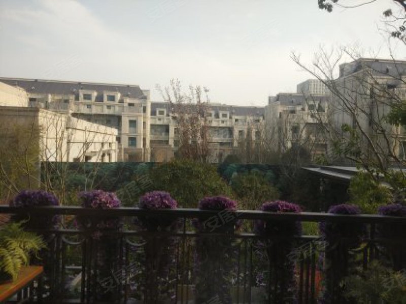 安亭瑞仕华庭(别墅) 