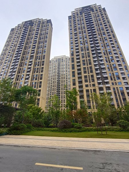 禹洲中央城二期(香缇雅居)