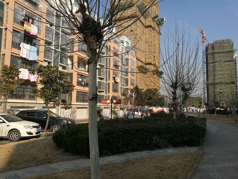 新高西城国际,胜利西路666号-灌云新高西城国际二手房,租房,房价-灌云