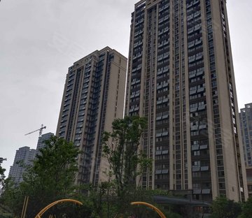 和昌香樟原著