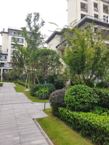 保利堂悦(a区一期),天文大道,近茶园路-重庆保利堂悦(a区一期)二手房