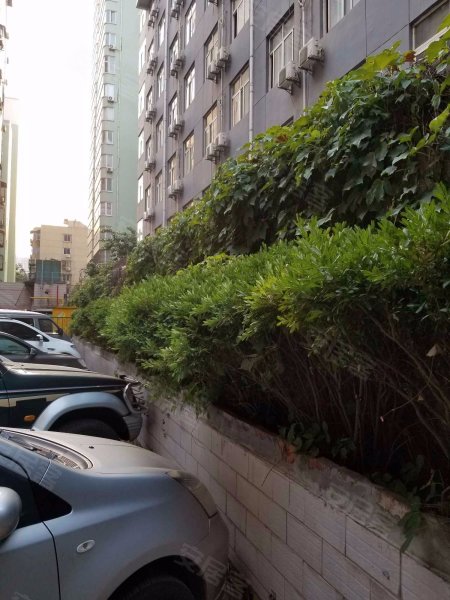 立丰公寓,安东街66号-呼和浩特立丰公寓二手房,租房,房价-呼和浩特