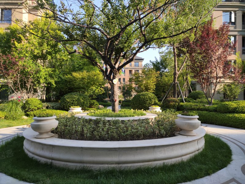 歌尔绿城桂花园