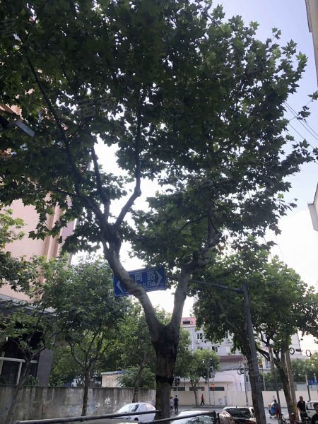 慈善街125弄小区 