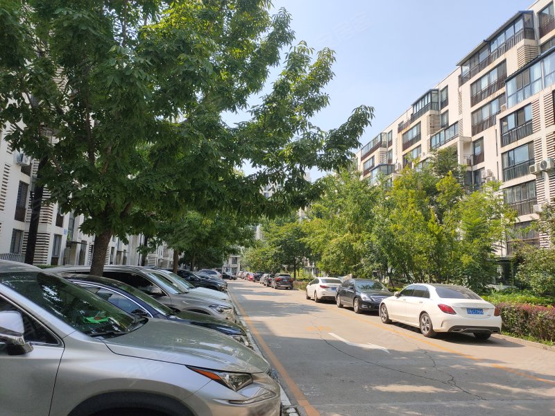 柏林爱乐(二期)