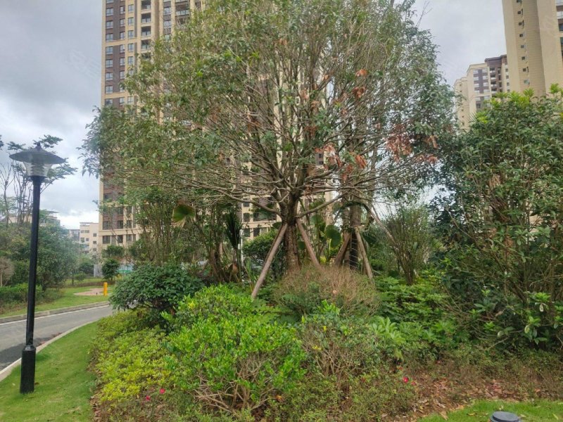 潼南观澜华府,向阳路,近莲花西路-重庆潼南观澜华府二手房,租房,房价