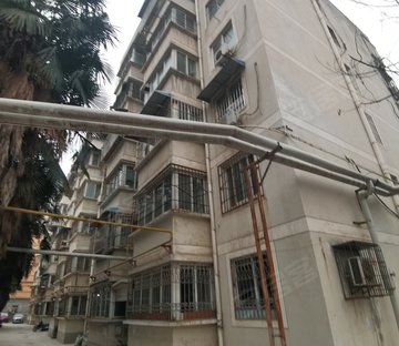 金花南路13号院