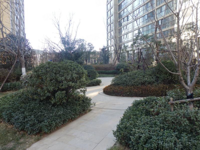 海尔绿城桂花园北区