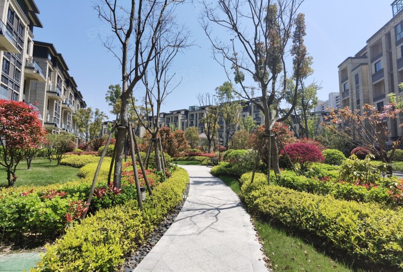 碧桂园湖悦天境花园