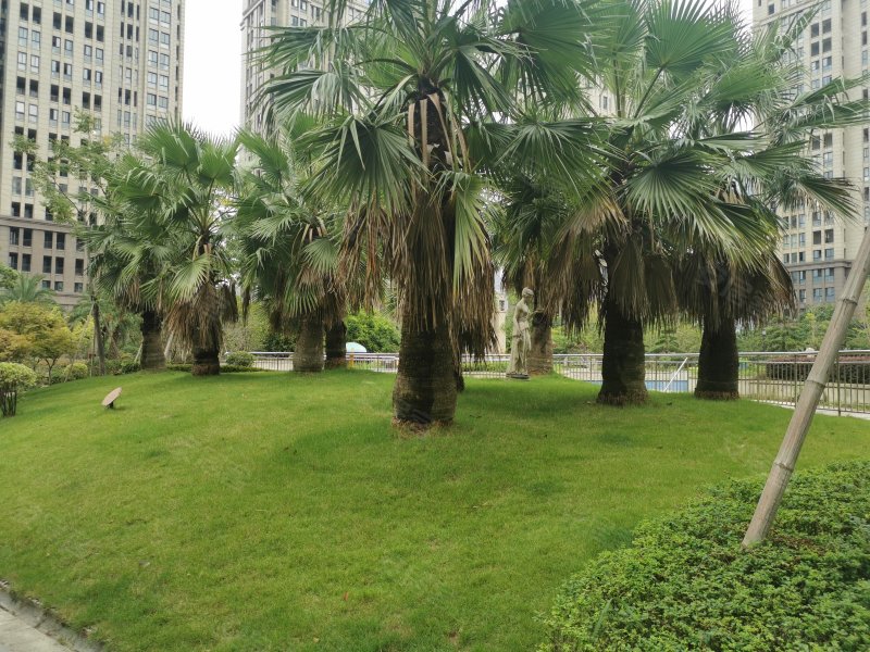 心海金源,中心大道-台州心海金源二手房,租房,房价-台州安居客