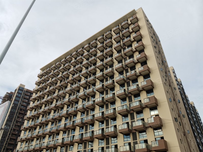 悦龙府邸(江南)