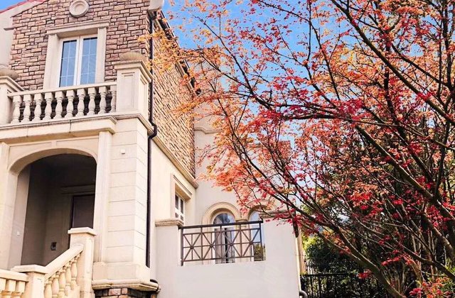 金沙西墅2室1厅310.3㎡865.2万二手房图片