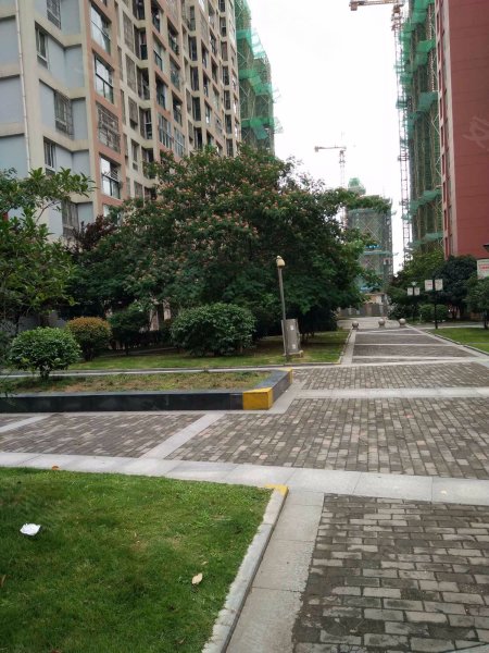 青年城1号,锦绣大道316号-孝感青年城1号二手房,租房,房价-孝感安居客