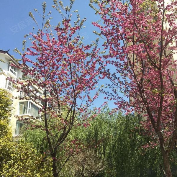 香江花园,雪山路410号-葫芦岛香江花园二手房,租房,房价-葫芦岛安居客