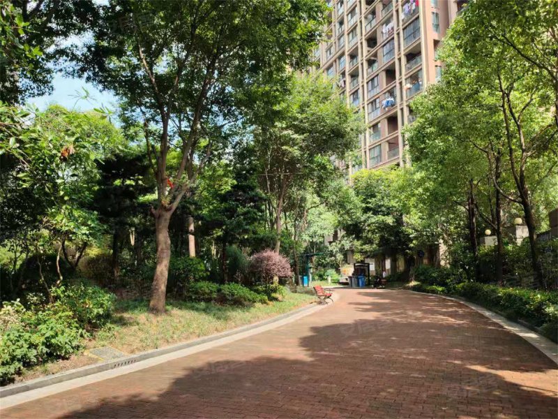 世纪星城,湖中路,近华齐路-绍兴世纪星城二手房,租房,房价-绍兴安居客