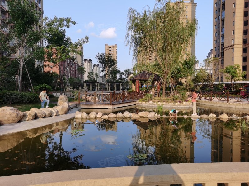 金悦东湖,振兴路-阜阳金悦东湖二手房,租房,房价-阜阳安居客