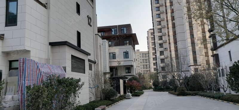 青特金地汇豪观邸