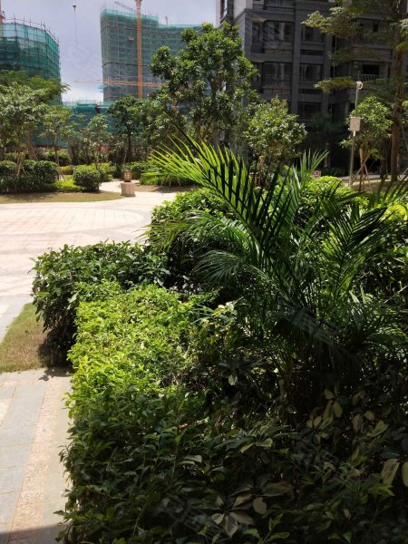 五象丽景,东银路1号-南宁五象丽景二手房,租房,房价-南宁安居客