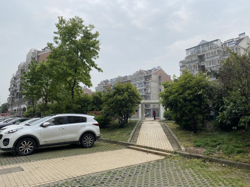 摄山星城观梅苑(西区)