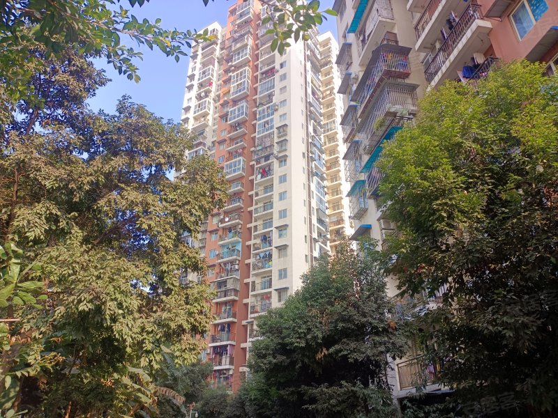 金洁南桥晓月,南石路7号-重庆金洁南桥晓月二手房,租房,房价-重庆安居