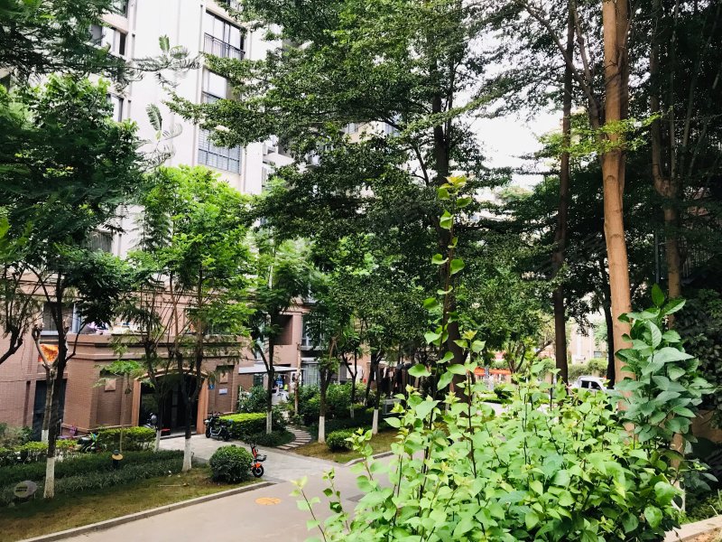 联发欣悦园,金湖一里1-25号-厦门联发欣悦园二手房,租房,房价-厦门