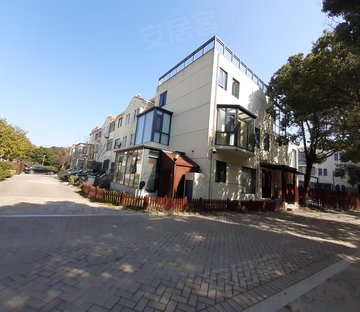 花桥豪宅绿地21城a区双拼别墅180c大花园钥匙房