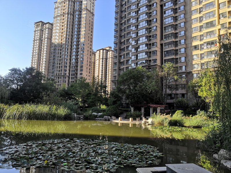 保利上河雅颂(南区)
