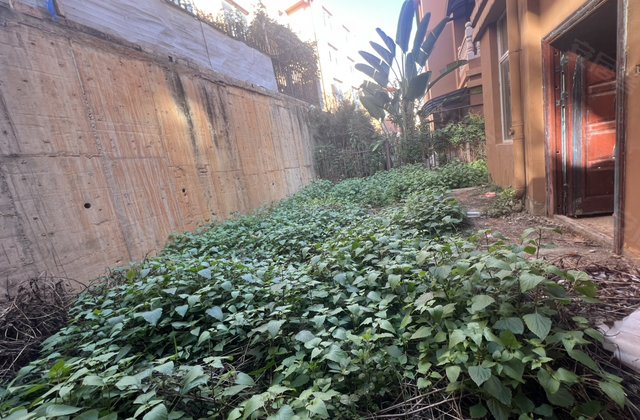 丽水湖畔8室2厅372㎡130万二手房图片