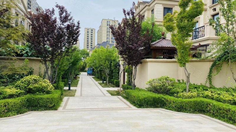 理想之城玫瑰园