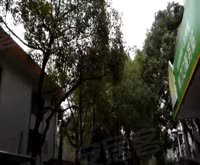 金杨路750弄小区 