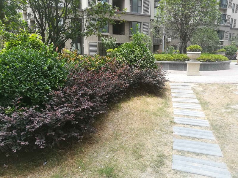 农房万丰公寓,宁武路445弄-上海农房万丰公寓二手房,租房,房价-上海