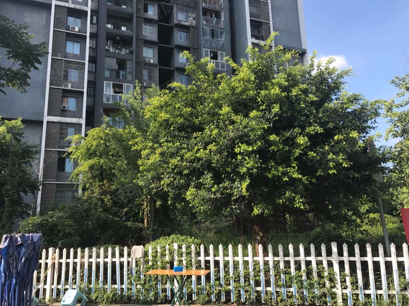 竹园小区(大渡口)