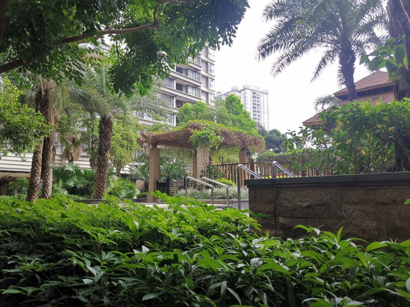 金辉新苑,仲恺大道82号-惠州金辉新苑二手房,租房,房价-惠州安居客