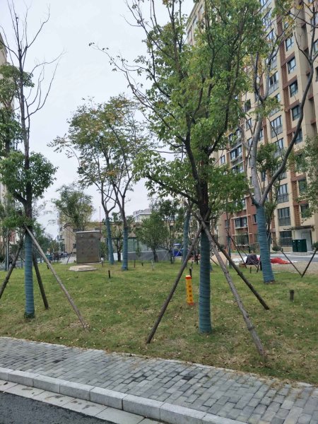 滨湖花园,滨河路-常州滨湖花园二手房,租房,房价-常州安居客
