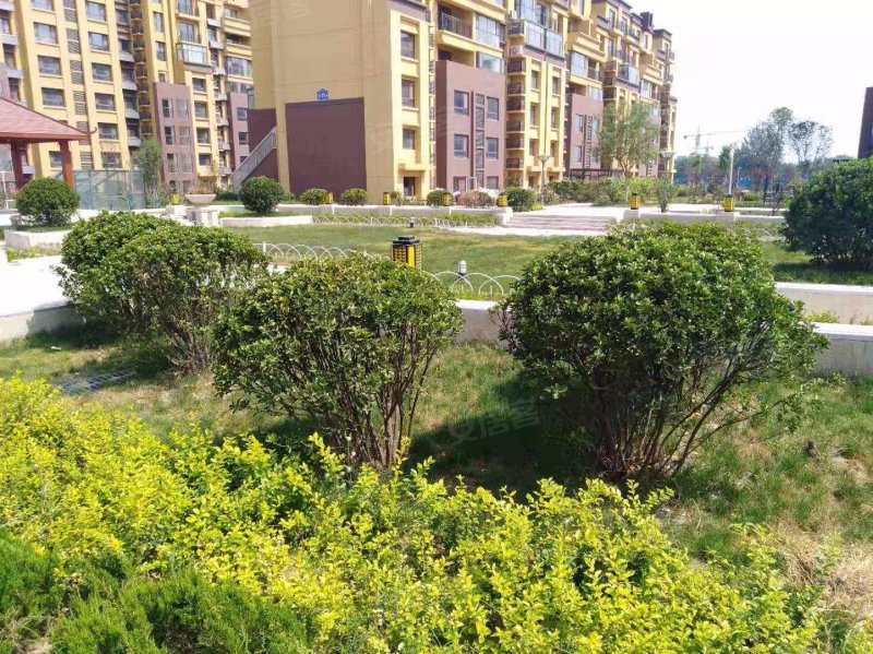 浞河6号,益新街,近渤海路-潍坊浞河6号二手房,租房,房价-潍坊安居客