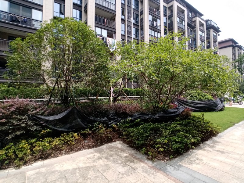 祥生郡悦,港南路,近二环西路-湖州祥生郡悦二手房,租房,房价-湖州安居