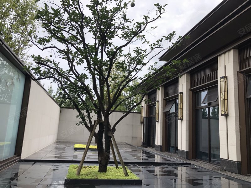 金科联发东悦府