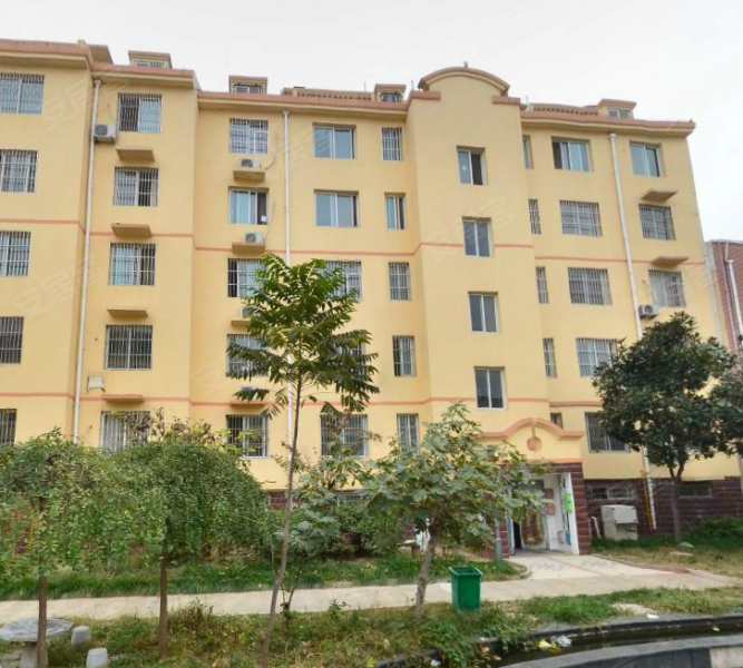 帝都花园(牡丹)