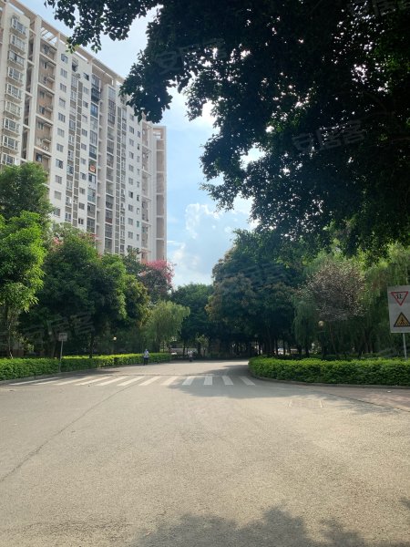 锦洲瑞苑,池峰路316号-泉州锦洲瑞苑二手房,租房,房价-泉州安居客