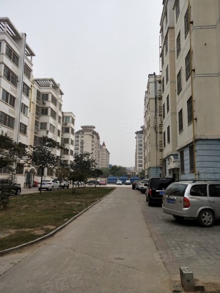 世纪景园,苏北路-濮阳世纪景园二手房,租房,房价-濮阳安居客