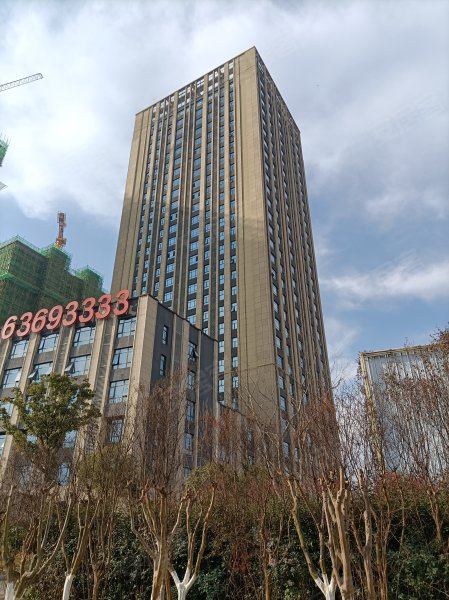 金大地悦澜公馆(商住楼),枫林路,近井岗路-合肥金大地悦澜公馆(商住楼