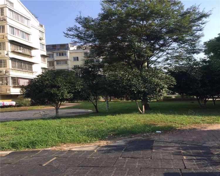 洞桥明苑(西区),潘沙南路217号-宁波洞桥明苑(西区)二手房,租房,房价