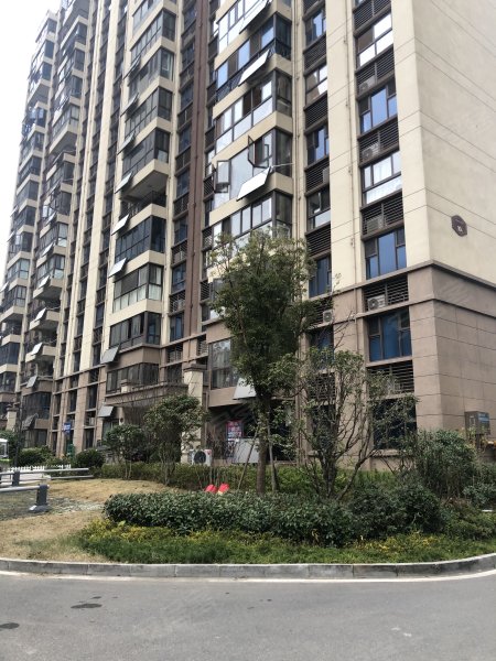 碧桂园皖投中央名邸