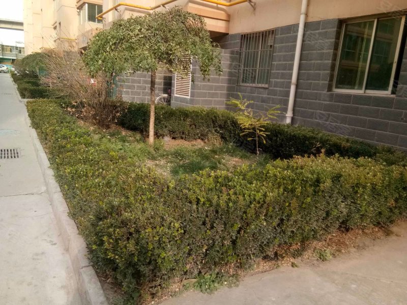 祥瑞小区,临洮街-兰州祥瑞小区二手房,租房,房价-兰州安居客